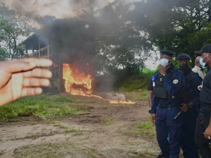 Conakry : plus d’une tonne de stupéfiants brûlée à Entage